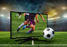 德州游骑兵队在夺冠后 2024 赛季表现平平，未能晋级季后赛