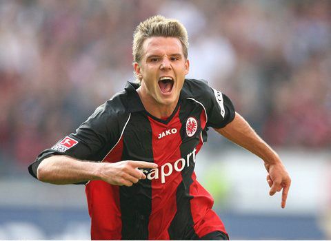 自如的小鱼 自如的小鱼