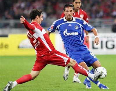 应新环境 应新环境