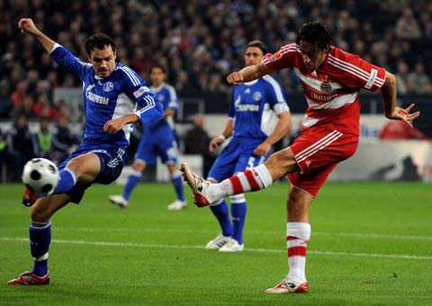 他们在赛季 他们在赛季